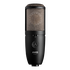 P420 - Black - High-performance dual-capsule true condenser microphone - Hero
