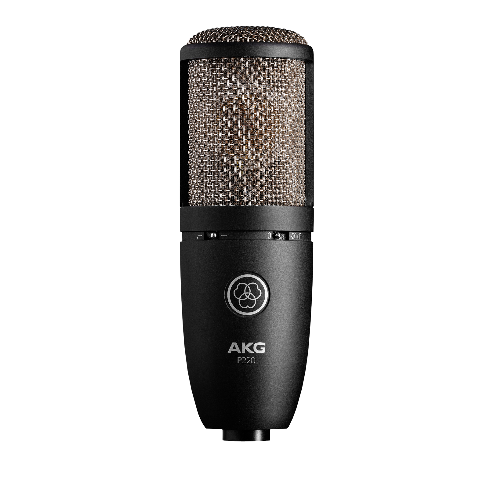 AKG P170 コンデンサーマイク ステレオペア Pa Equipment Musical