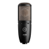 P220 - Black - High-performance large diaphragm true condenser microphone - Hero
