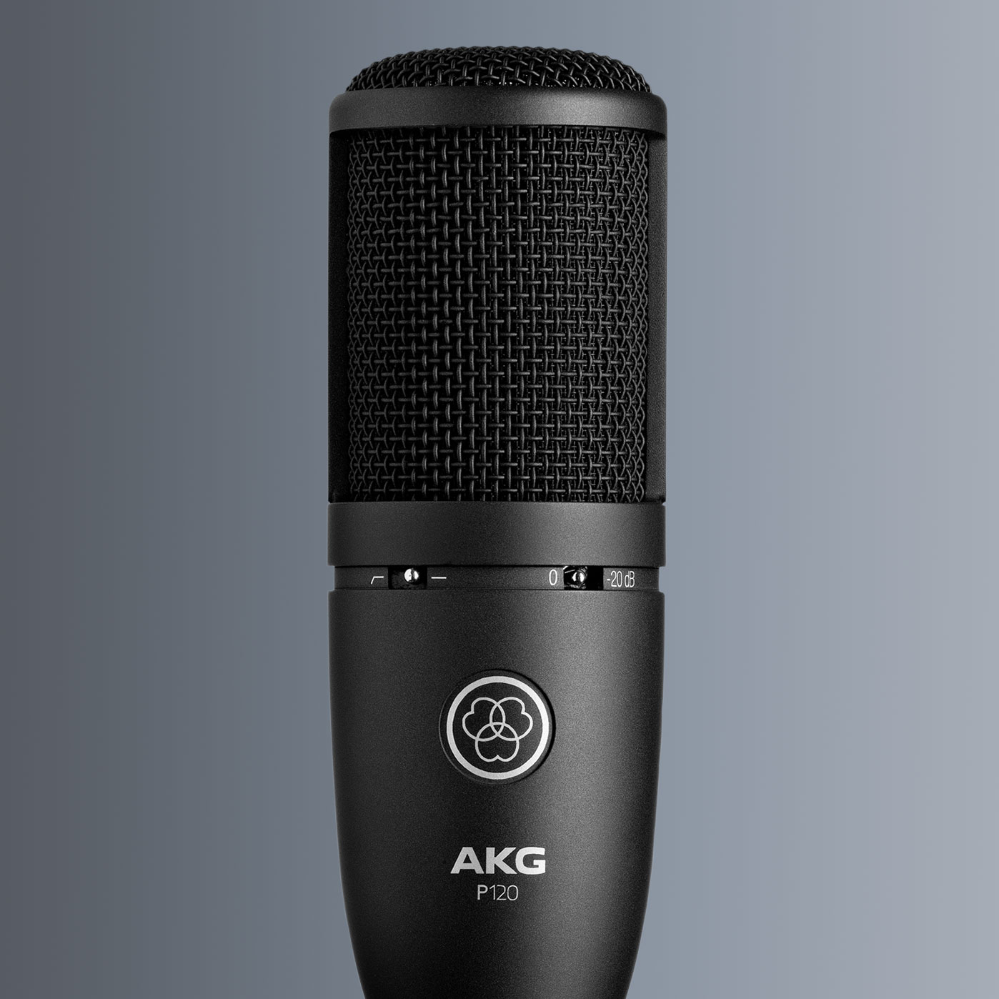 P120 High-performance True Condenser Microphone